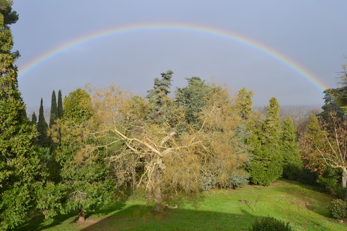 Parc séculaire